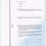 Schockieren Selbstauskunft Mieter Vorlage Word – Kebut