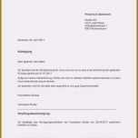 Schockieren Stromanbieter Kündigen Preiserhöhung Vorlage