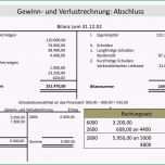 Schockieren T Konto Vorlage Wunderbar Gewinn Und Verlustrechnung Guv