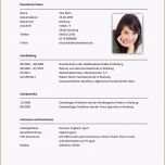 Schockieren Tabellarischer Lebenslauf Fur Uni Bewerbung Muster Vorlage