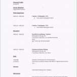 Schockieren Tabellarischer Lebenslauf Muster Ktforsenate Schulischer