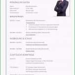 Schockieren Tabellarischer Lebenslauf Vorlage Kostenlose Muster Zum