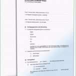 Schockieren übernahme Küche Vormieter Vertrag Vorlage – Kostenlos Vorlagen