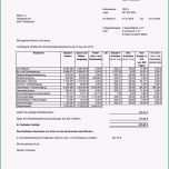 Schockieren Vermieter Nebenkostenabrechnung Vorlage Gut Nebenkosten