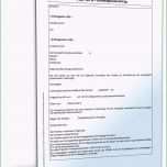 Schockieren Vob B Bauvertrag Einheitspreisvertrag