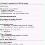 Schockieren Vorlage Für Eine Professionelle social Media Strategie