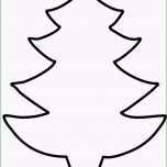 Schockieren Weihnachtsbaum Vorlagen Dekoking Avec Tannenbaum Vorlage