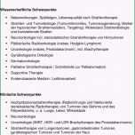 Schockieren Wissenschaftlicher Lebenslauf