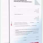 Schockieren Zusatzvereinbarung Genehmigung Nebentätigkeit Muster