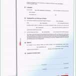 Selten 10 Leihvertrag Geld Muster