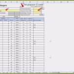 Selten 12 Bautagebuch Muster