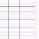 Selten 12 Hygieneplan Vorlage