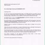 Selten 13 Beurteilung Muster