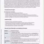 Selten 13 Unfallbericht Muster