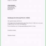 Selten 13 Vorlage Kündigung Verein