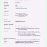 Selten 15 Amerikanischer Lebenslauf