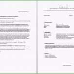 Selten 15 Bewerbung Bei Der Bundeswehr