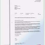 Selten 15 Eröffnungsbilanz Ug Vorlage