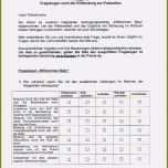 Selten 15 Fragebogen Erstellen Vorlage