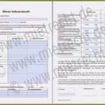 Selten 15 Selbstauskunft Mieter Vorlage