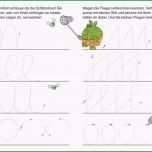 Selten 15 Vorschule Schwungübungen