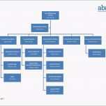 Selten 16 Vorlagen organigramm