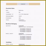 Selten 19 Einfacher Lebenslauf Muster 2016