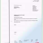 Selten 20 Fristgerechte Kündigung Muster