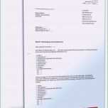 Selten 20 Kündigungsschreiben Wohnung Vorlage