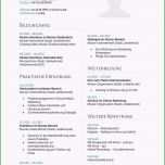 Selten 20 Tabellarischer Lebenslauf Muster 2014