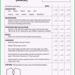 Selten 36 Gut Mini Mental Test Vorlage Galerie