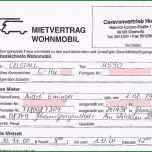 Selten 52 Vorlage Kündigung Fitnessstudio