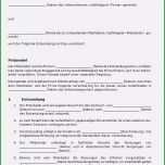 Selten 67 Bewundernswert Praktikumsvertrag Vorlage Word Galerie