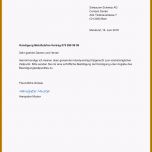 Selten 8 Kründigung Vertrag Vorlage Word