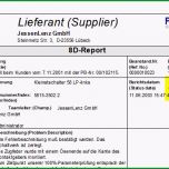 Selten 8d Report Nach Vda Qmc Mit Prüfberichtsnummer Des Kunden