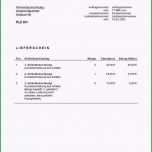 Selten 9 Lieferschein Vorlage Excel