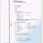 Selten 9 Personalbogen Vorlage