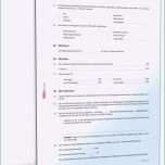 Selten 90 Beautiful Stromanbieter Kündigen Vorlage