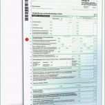 Selten Anlage N 2011