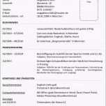 Selten Beispiele Lebenslauf Positive Und Negative Beispiele