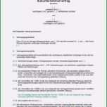 Selten Berliner Testament Vorlage Kostenlos Bewundernswert