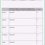 Selten Besuchsbericht Vorlage Kostenlos Papacfo