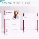 Selten Bewerbung Englisch Vorlage Mit Cv Und Cover Letter In Word