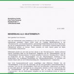 Selten Bewerbung Kostenlose Muster &amp; Vorlagen 2016