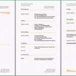 Selten Bewerbungsschreiben Vorlage Kostenlos Word Kostenlose