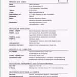 Selten Biografie Schreiben Muster Ideen Biografie Vorlage Für