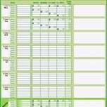 Selten Blutzucker Tagebuch Excel Vorlage Glukose Niveaus Tracker