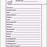 Selten Das Magische Camp Sunlight