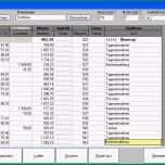 Selten Datev Kassenbuch Vorlage Excel – Vorlagen 1001