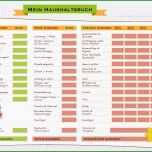 Selten Die Besten 25 Haushaltsbuch Vorlage Ideen Auf Pinterest